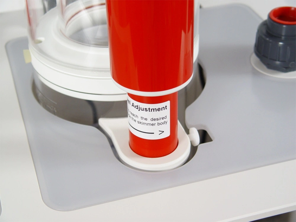 Royal Exclusiv Dreambox set 1a (skummer og sump)